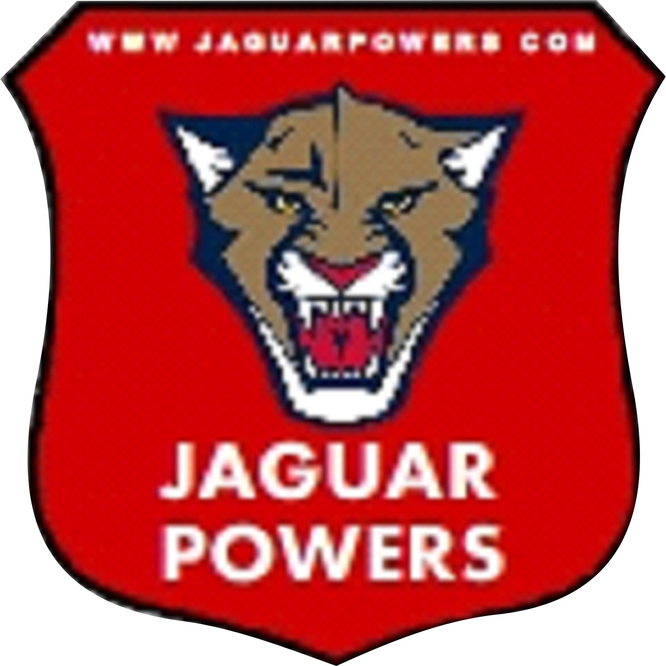 Jaguar Consultancy